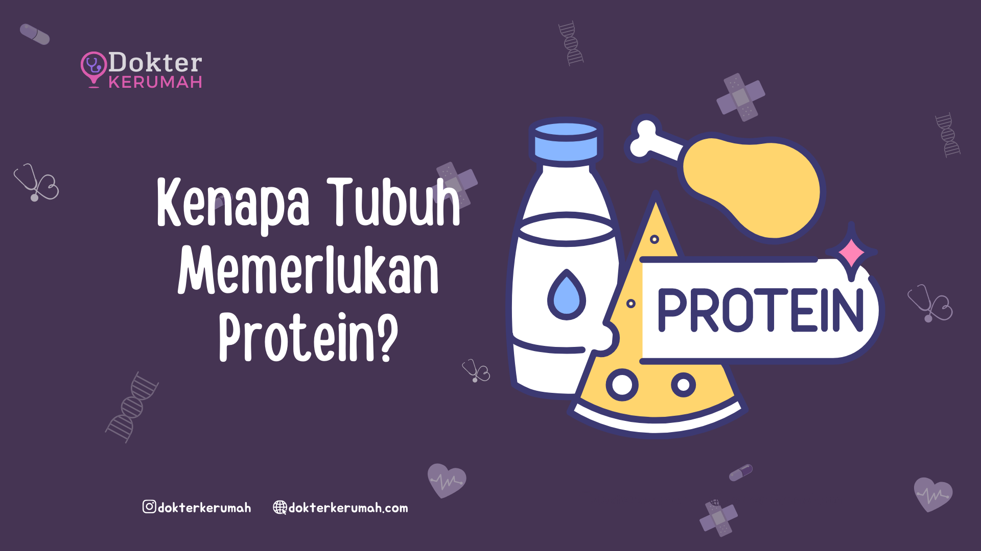 Kenapa Tubuh Memerlukan Protein Ternyata Ini Fungsinya Dokter Ke Rumah