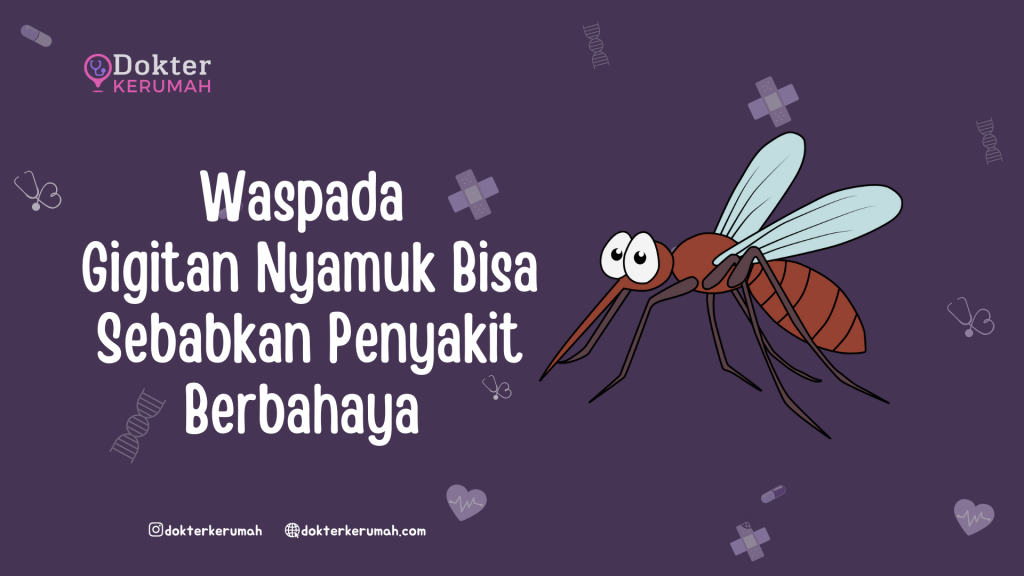 Waspada Gigitan Nyamuk Bisa Sebabkan Penyakit Berbahaya