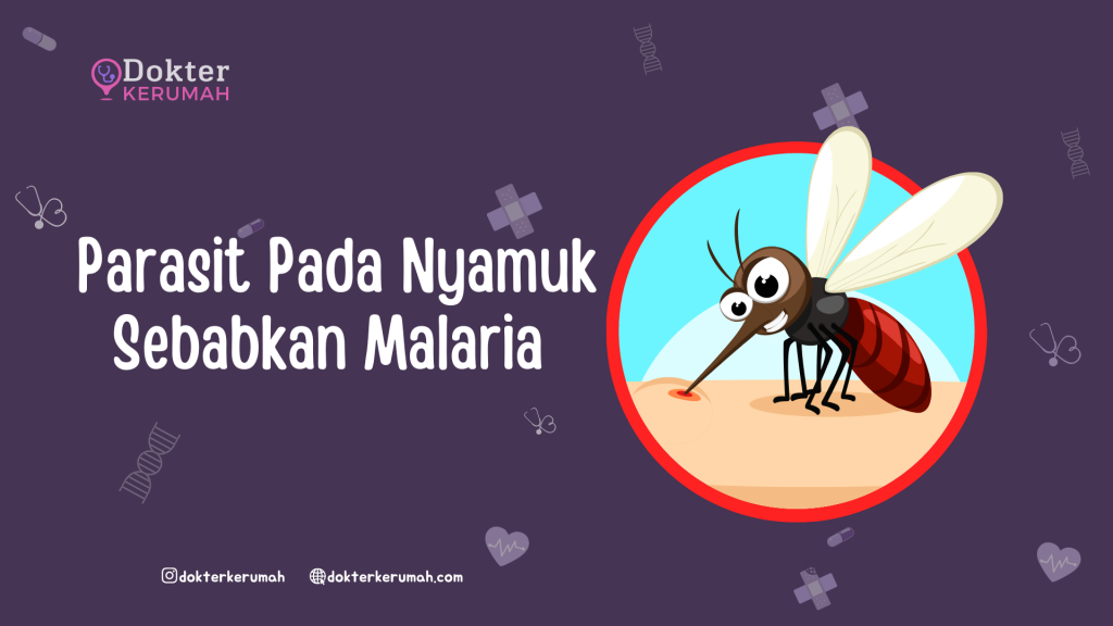 Parasit Pada Nyamuk Sebabkan Malaria