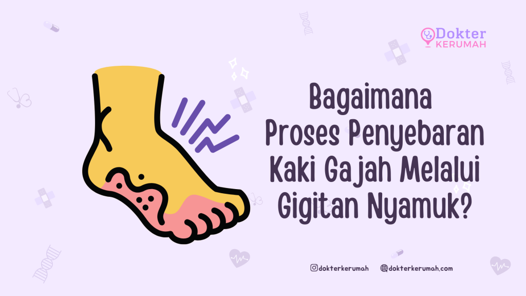 Bagaimana Proses Penyebaran Kaki Gajah Melalui Gigitan Nyamuk?