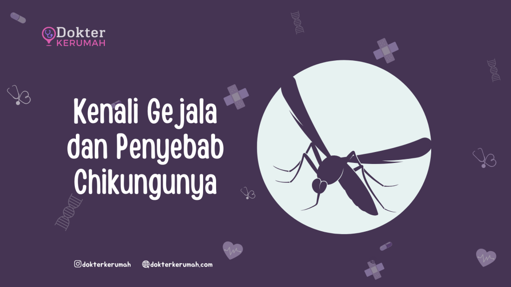 Kenali Gejala dan Penyebab Chikungunya