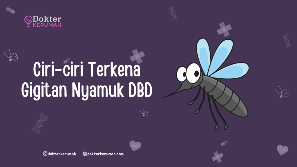 Ciri-ciri Terkena Gigitan Nyamuk DBD